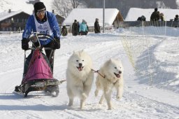 Lenk 2012 SM